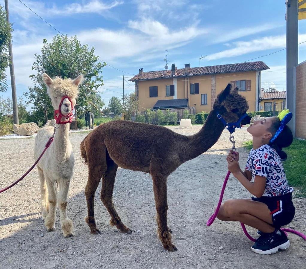 Pirola Music Ranch Guest House B&B Romano di Lombardia Dış mekan fotoğraf
